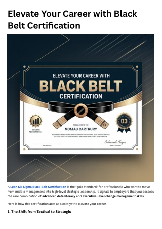 Elevate Your Career with Black Belt Certification