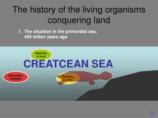 The history of the living organisms conquering land
