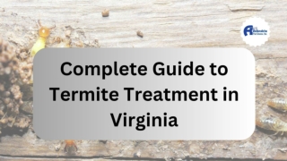 Complete Guide to Termite Treatment in Virginia