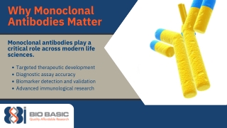Monoclonal Antibody Manufacturing Made Reliable | Precision-Driven Solutions by