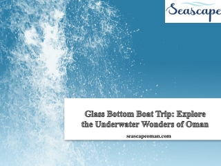 Glass Bottom Boat Trip Explore the Underwater Wonders of Oman