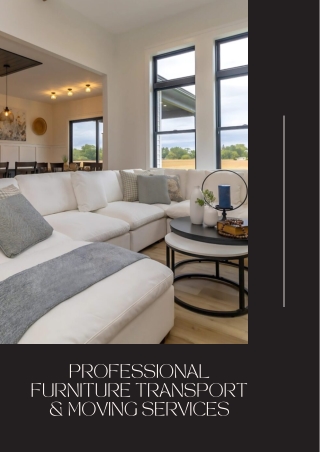 Professional Furniture Transport & Moving Services