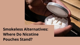 Smokeless Alternatives_ Where Do Nicotine Pouches Stand_