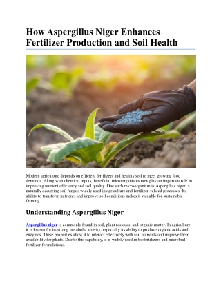 How Aspergillus Niger Enhances Fertilizer Production and Soil Health