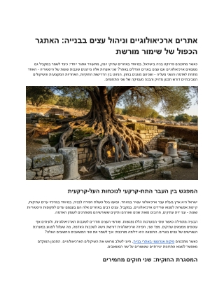 השפעת העצים על חפירות ארכאולוגיות – מה לא לפספס