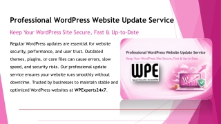 Professional WordPress Website Update Service for Secure, Fast & Error-Free Webs