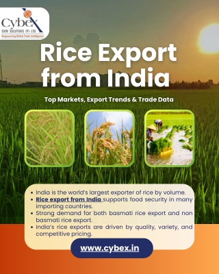 Rice Export from India Top Markets, Export Trends & Trade Data