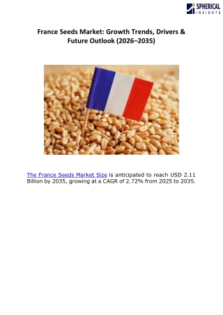 France Seeds Market B