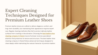 Expert Cleaning Techniques Designed for Premium Leather Shoes