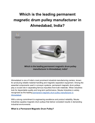 Which is the leading permanent magnetic drum pulley manufacturer in Ahmedabad, India