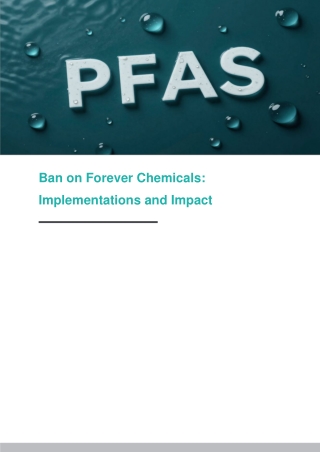 Ban on Forever Chemicals Implementations and Impact