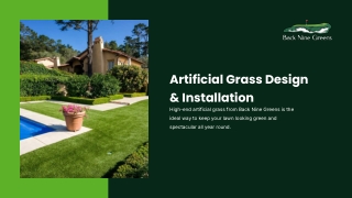 Artificial Grass Lawn Installation