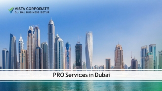PRO Services in Dubai Documentation, Deadlines & Deliverables