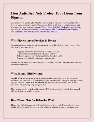 How Anti Bird Nets Protect Your Home from Pigeons