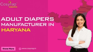 Adult Diaper Manufacturer In Haryana