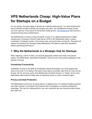 VPS Netherlands Cheap: High-Value Plans for Startups on a Budget