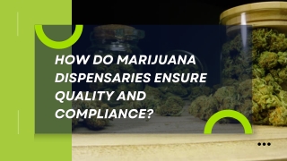 Reliable Cannabis Store With Expert Support