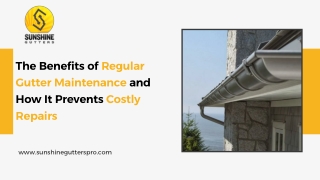 The Benefits of Regular Gutter Maintenance and How It Prevents Costly Repairs