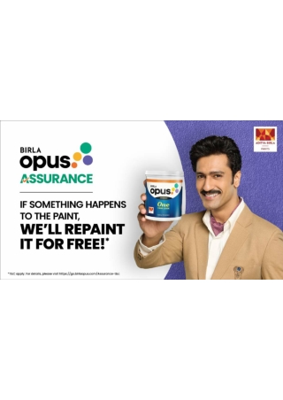 Birla Opus Wall Paint Colours And Shade Cards