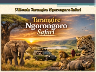 Ultimate Tarangire Ngorongoro Safari