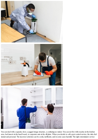 Picking the Right Exterminator Service: How to Contrast Pest Control Companies L
