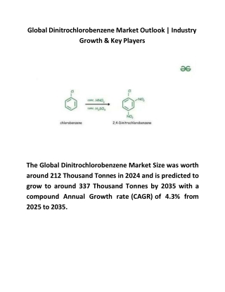 Global Dinitrochlorobenzene Market Outlook & Industry Growth & Key Players