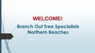 Best Tree Lopping Services in Davidson