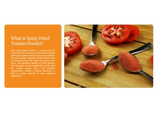 Dried Tomato Powder Manufacturer Supplier in India, Ahmedabad – Sayaji Spray Drying