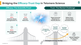 Bridging the Efficacy Trust Gap in Telomere Science
