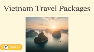 Vietnam Travel Packages – Honeymoon, Group & Solo Trips 2026