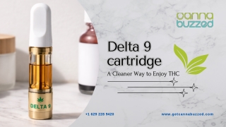 Delta 9 Cartridges: A Cleaner Way to Enjoy THC