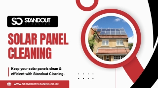 Why Professional Solar Panel Cleaning Improves Panel Longevity