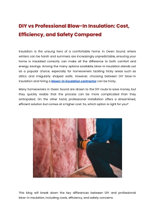 DIY vs Professional Blow-In Insulation: Cost, Efficiency, and Safety Compared
