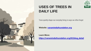 Uses of Trees in Daily Life How Trees Support Our Daily Life