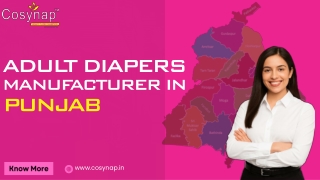 Adult Diaper Manufacturer In Punjab
