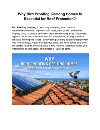 Why Bird Proofing Geelong Homes Is Essential for Roof Protection?