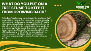 What Do You Put on a Tree Stump to Keep It from Growing Back?