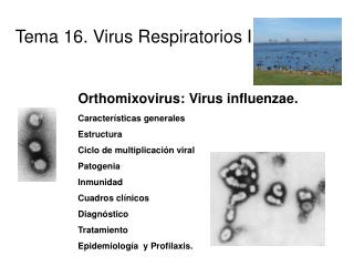 Tema 16. Virus Respiratorios I