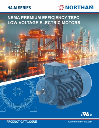 NEMA Premium Efficiency TEFC Low Voltage Electric Motors In USA | Nortam Inc
