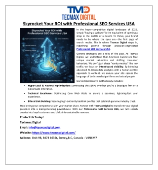 Skyrocket Your ROI with Professional SEO Services USA