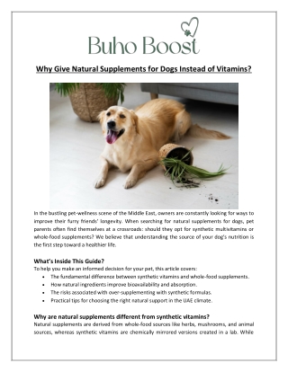 Buho Boost - Why Give Natural Supplements for Dogs Instead of Vitamins
