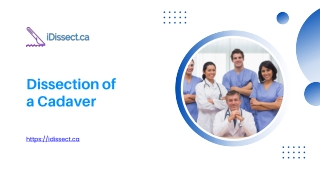 Dissection of a Cadaver - idissect.ca