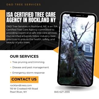 ISA Certified Tree Care Agency in Rockland NY  D&D Tree Services