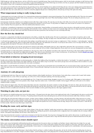 Dog Daycare Safety: Temperament Testing and Playgroup Matching