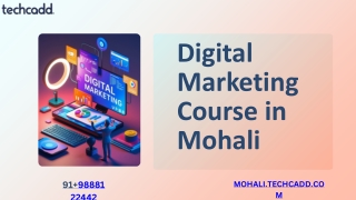 Best Digital Marketing Course in Mohali | SEO, Google Ads Training - techcadd