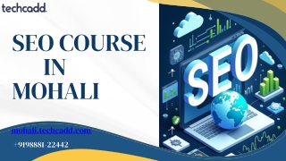 Best SEO Course in Mohali | Search Engine Optimization Training - techcadd
