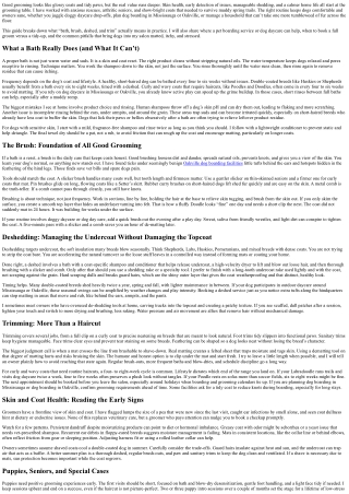 Dog Grooming Services Explained: Bath, Brush, Deshed, and Trim