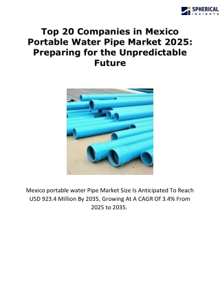 Top 20 Companies Mexico Portable Water Pipe Market