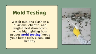 Mold Testing