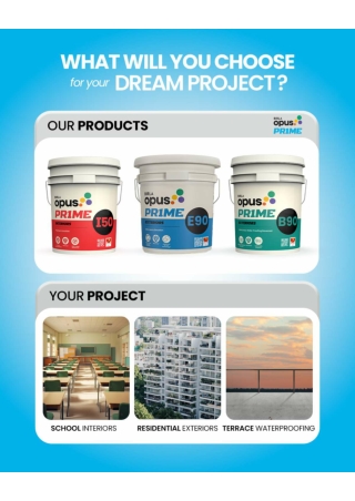 Birla Opus Prime - Professional Paint Solutions for Institutions